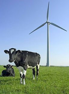 Naturverträgliche Planung von Windparks 